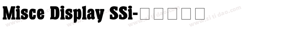 Misce Display SSi字体转换